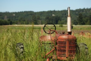 tractorbloom