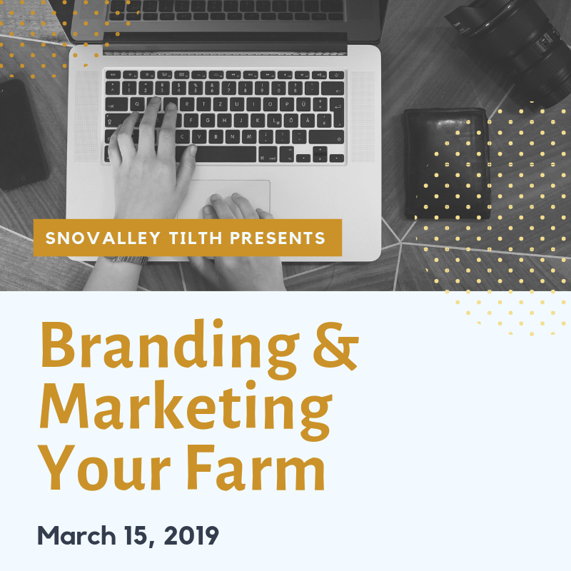 Branding and Marketing Workshop